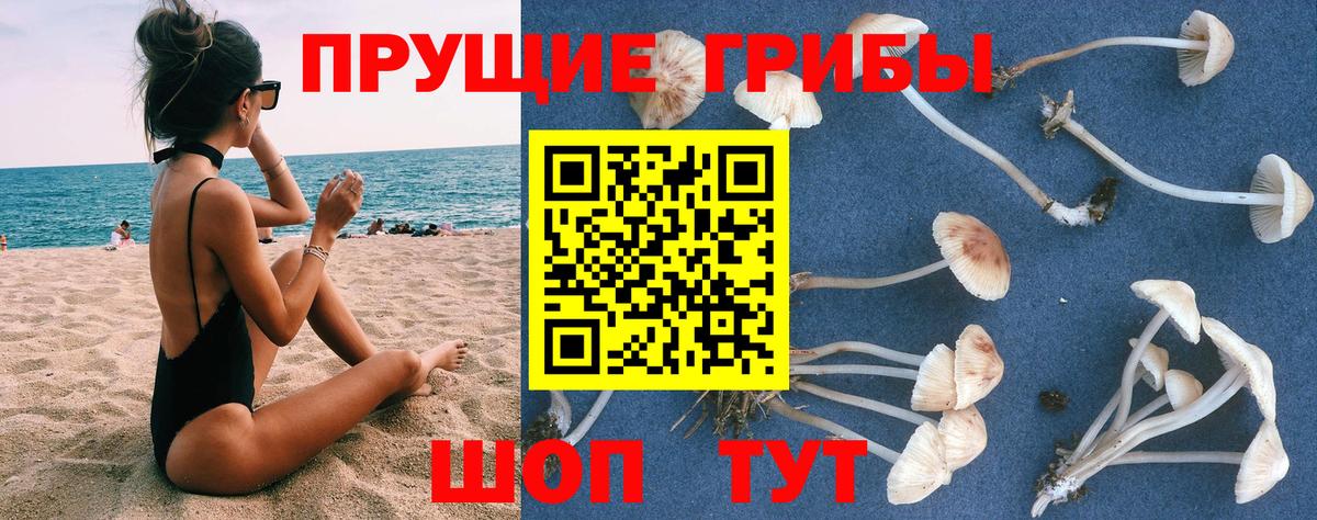 Великий Новгород  Галлюциногенные грибы прущие грибы  Вход с VPN 