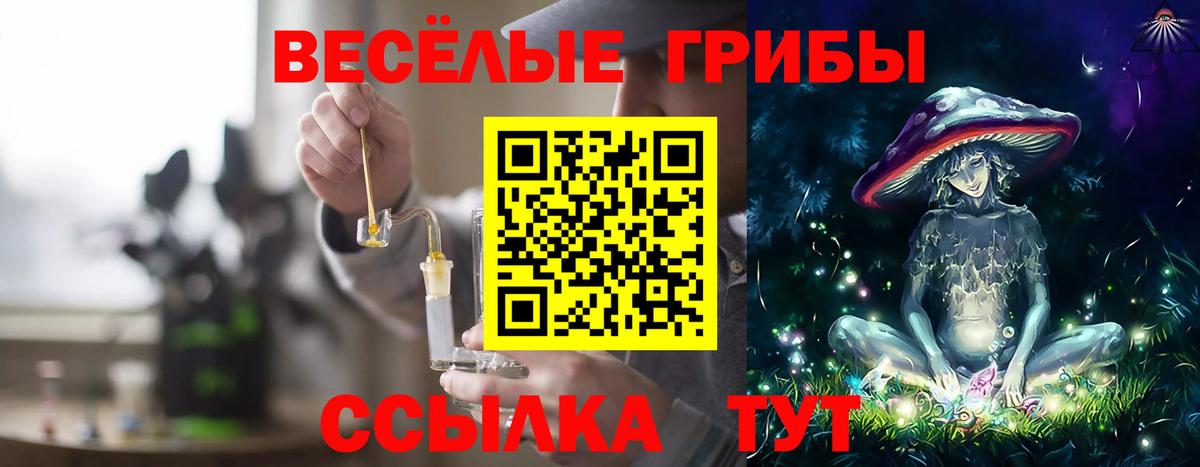 Галлюциногенные грибы GOLDEN TEACHER Великий Новгород
